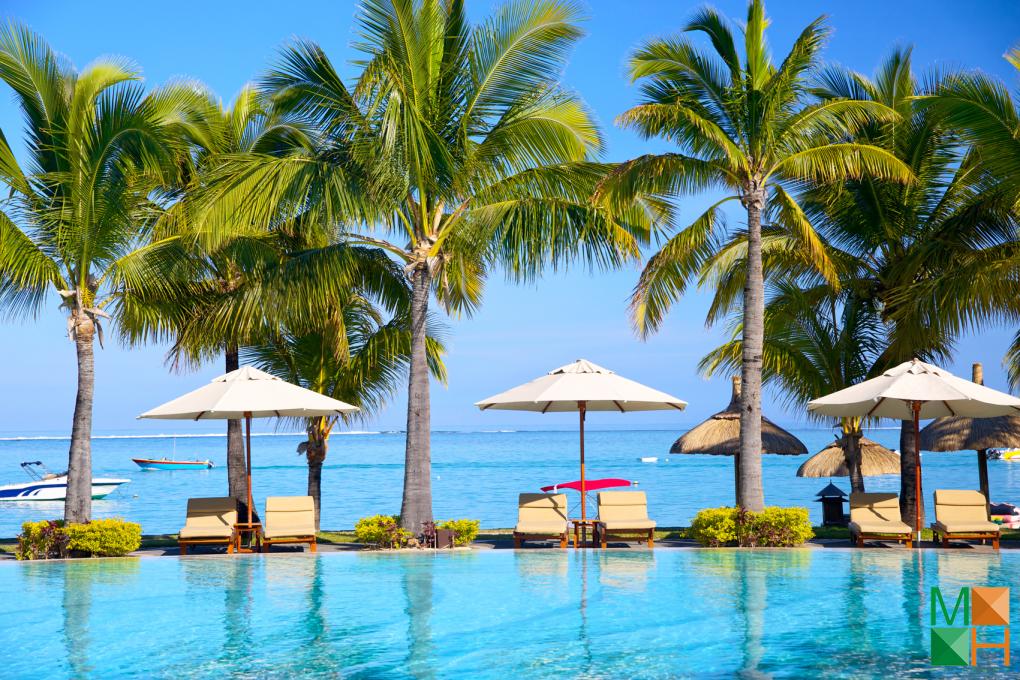 Tranh dán tường Hàn Quốc vừa đẹp vừa lạ tranh dán tường Hàn Quốc vừa đẹp vừa lạ